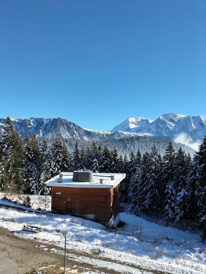 Appartement Le Sorbier A Chamrousse 3 Pieces 6 Personnes Aux Pieds Des Pistes Eksteriør billede