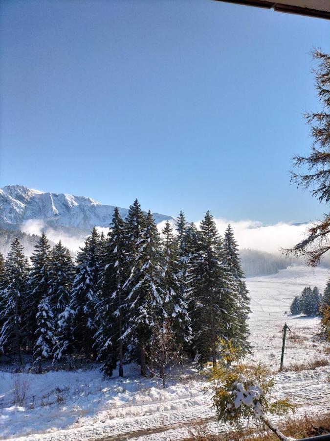 Appartement Le Sorbier A Chamrousse 3 Pieces 6 Personnes Aux Pieds Des Pistes Eksteriør billede